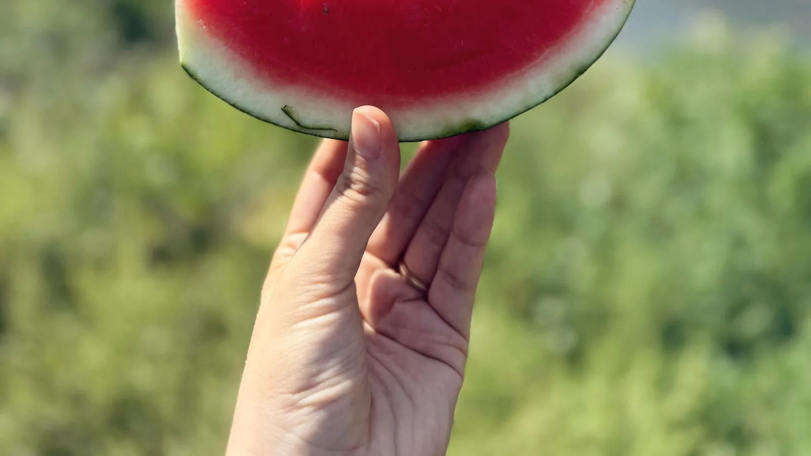 Hand holding a slice of watermelon outdoors in summer